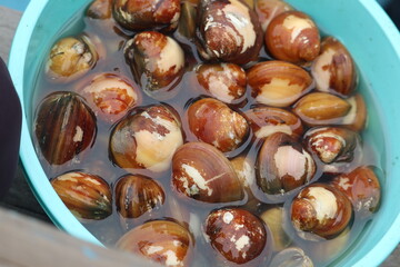 different different view of jagannath puri and sun temple konark