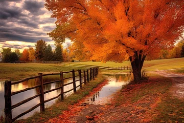 Foto op Plexiglas Autumn landscape with a pond and a tree in the foreground. © vachom