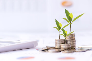 The tree  growing on money coin stack for investment,  business newspaper with financial report on...