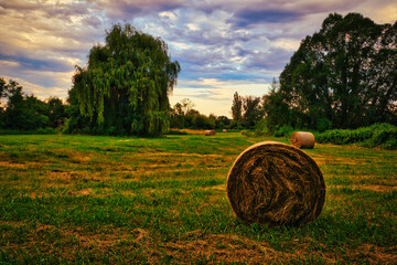 Strohballen - Heuballen - Heu - Stroh - bales of hay - field - harvest - summer - straw - farmland...