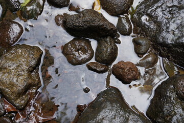 Piedras de río para fondos © Pere