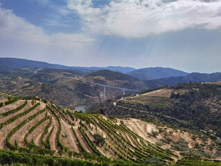 Fototapeta na wymiar Vinhas a meio da montanha com uma ponte ao fundo sobre o rio Tua em Trás os Montes, Portugal