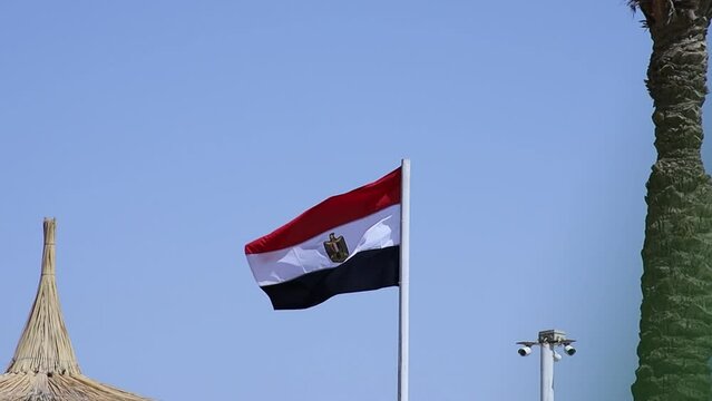 egypt flag in the wind against the blue sky