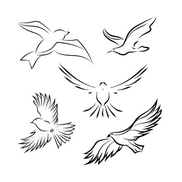 A set of different birds. Black lines, sketch. Vector