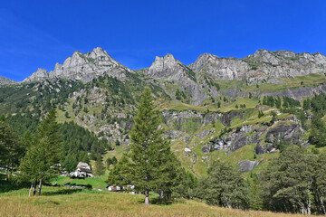 Fototapeta na wymiar La salita verso Il Parco Naturale Alpe Veglia e Alpe Devero, Valle d'Ossola - Piemonte