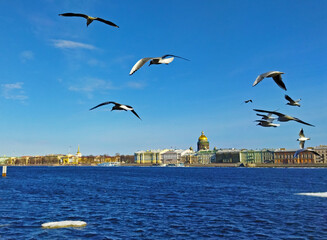 Spring view of the Neva river in St. Petersburg, Russia. Landscape with Ice floes float on a wide surface of water on a sunny spring day.