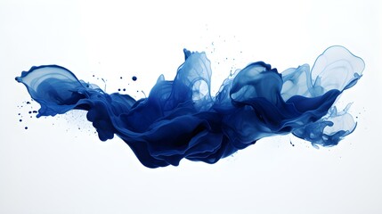 Navy Color Splash on a white Background. Artistic Color Explosion
