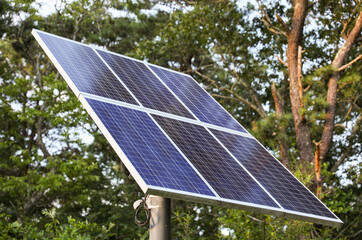 solar panels harnessing sunlight epitomize clean energy's promise, symbolizing sustainability and...