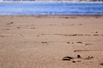 Focus of the sand as the foreground with the blurred sea view in the background in Crosby Beach in Liverpool, UK. City in Merseyside county of North West England. Travel and nature scene.