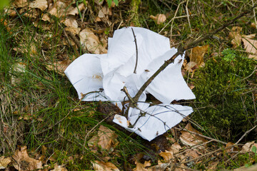 Weggeworfene, als Klopapier verwendete, Papiertaschentücher im Wald