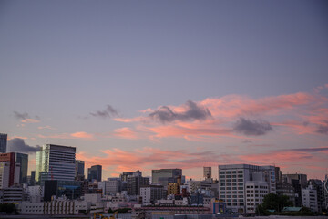 Fototapeta premium 築地大橋とベイエリアの都市風景