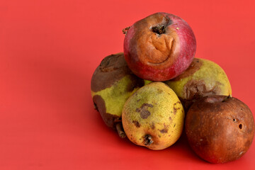 Rotten apples and pears isolated on pink background.