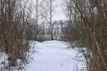 Rural road covered with cold snow.