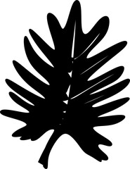 The illustrations and clipart silhouette of a leaf isolated on white