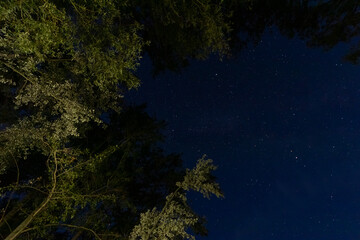 Fototapeta na wymiar astro photography starry sky studded with stars, trees with green foliage