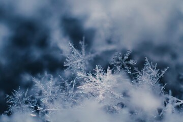 closeup of snowflakes on blue background on a cold winter day