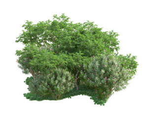 Obraz premium Green landscape isolated on transparent background. 3d rendering - illustration