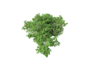 Obraz premium Green landscape isolated on transparent background. 3d rendering - illustration