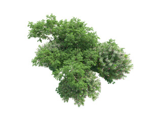 Obraz premium Green landscape isolated on transparent background. 3d rendering - illustration