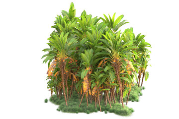 Green landscape isolated on transparent background. 3d rendering - illustration