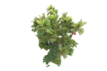 Fototapeta premium Green landscape isolated on transparent background. 3d rendering - illustration