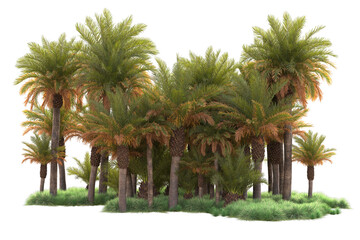 Fototapeta na wymiar Green landscape isolated on transparent background. 3d rendering - illustration