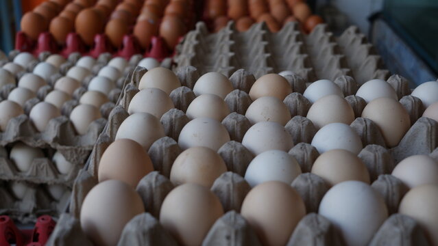 Egg free-range chicken on a carton rack