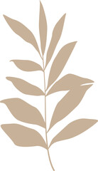 leaves. Hand drawn decorative elements. Vector illustration