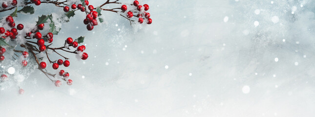 Snow-covered board frame framed by branches with red berries covered in frost. Copy space.