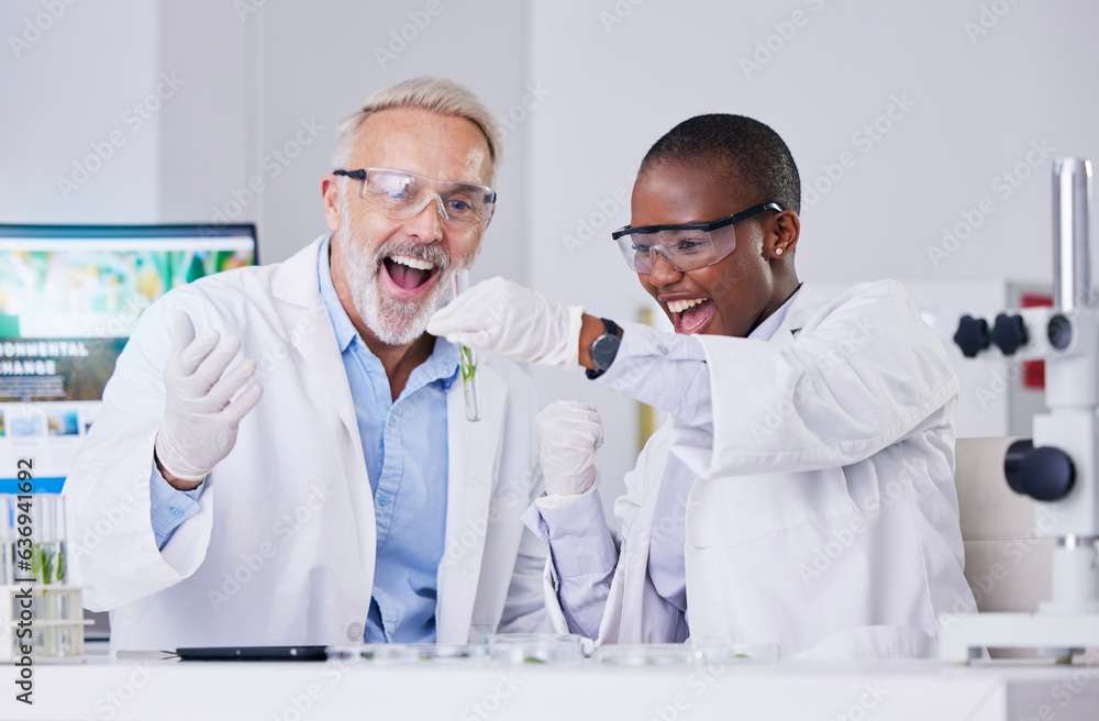 Canvas Prints Scientist, people with test tube and plant, cheers and success, black woman and senior man, medical research in lab. Mentor, learning and leaf sample, environment study breakthrough and celebration