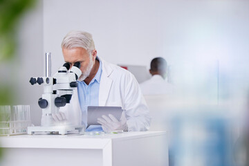 Science, laboratory and man with microscope, tablet and research with plants, botany or sustainable...
