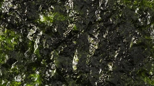 Gimgui or fried seaweed, close-up. Edible seaweed Undaria pinnatifida also called as wakame, sea mustard. 4K Video, Rotating.
