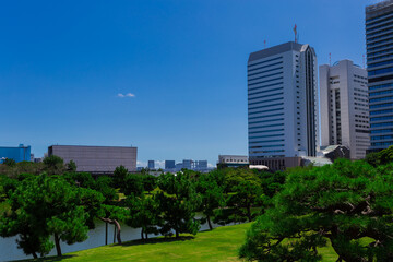 summer sky and urban garden 41