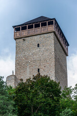 Obraz premium Baszta, Muszyna, Małopolska, Poland
