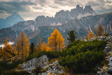 Colorful autumn redwoods and picturesque lacy cliffs at sunrise, Dolomites - 636946627