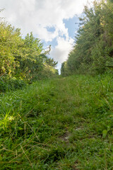 Public bridler path through the countryside
