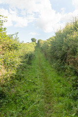 Fototapeta na wymiar Public bridler path through the countryside