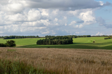 Farm fields in the English Countryside