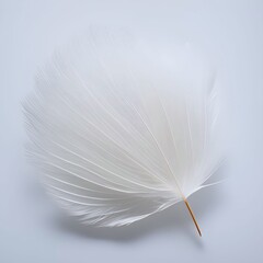 Feathers floating in the air generative ai illustration art