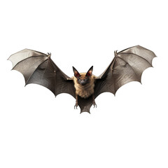 Obraz premium Halloween bat in flight isolated on white transparent background, png, 3d