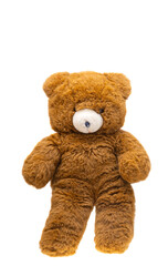 bear toy isolated