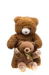 Obraz premium bear toy isolated