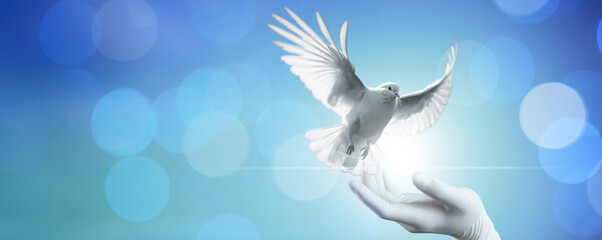 Female doctor praying and free bird enjoying nature on blue sky  background, white dove flying...