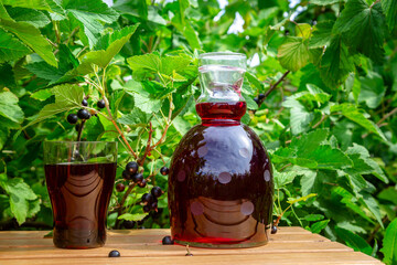 Useful blackcurrant drink in the garden on a sunny day
