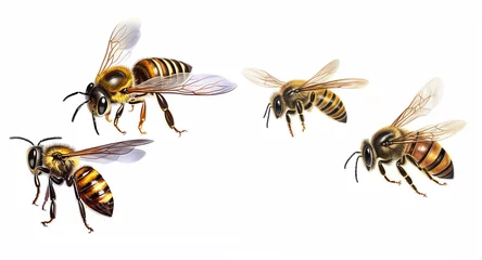 Fotobehang Honey and bee insect macro shot. A bee collecting pollen generative Ai. © SavirinaArt