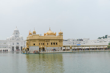 Fototapeta premium Golden Temple (Harmandir Sahib) in Amritsar, Punjab, India