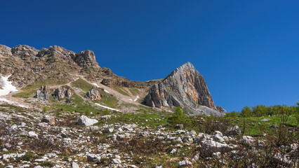 Fototapeta na wymiar Spring in the vicinity of Mount Fisht in the Caucasus.