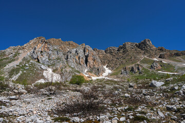 Fototapeta na wymiar Spring in the vicinity of Mount Fisht in the Caucasus.