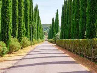 Fototapete Toscane Tuscany Italy avenue in the countryside