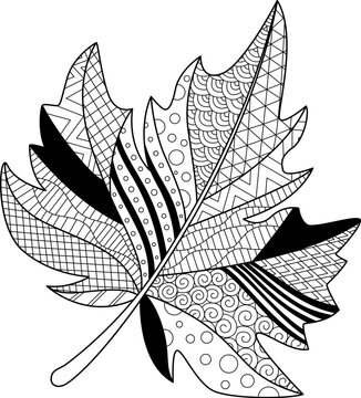 Autumn maple leaf doodle coloring book page. Black and white vector zentangle illustration.